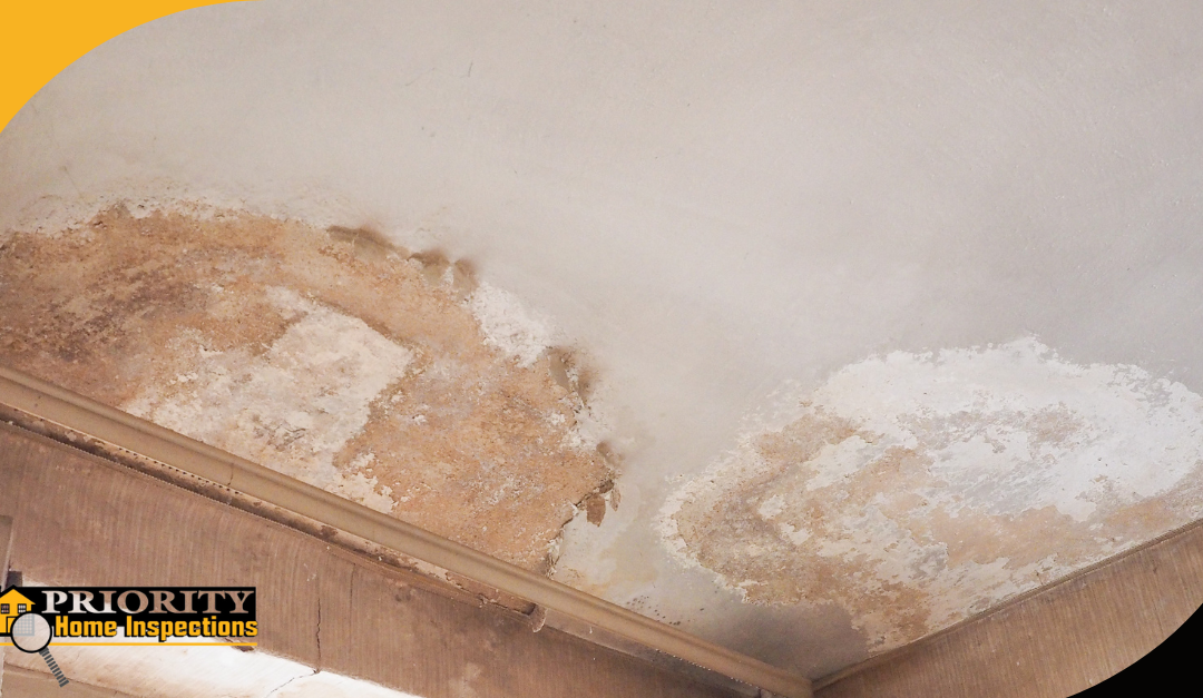 Water damage and peeling paint on a ceiling with visible mold growth.