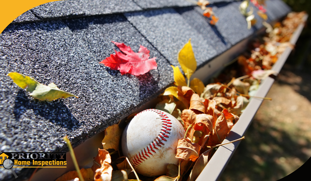 Clogged gutter filled with fall leaves and a baseball.