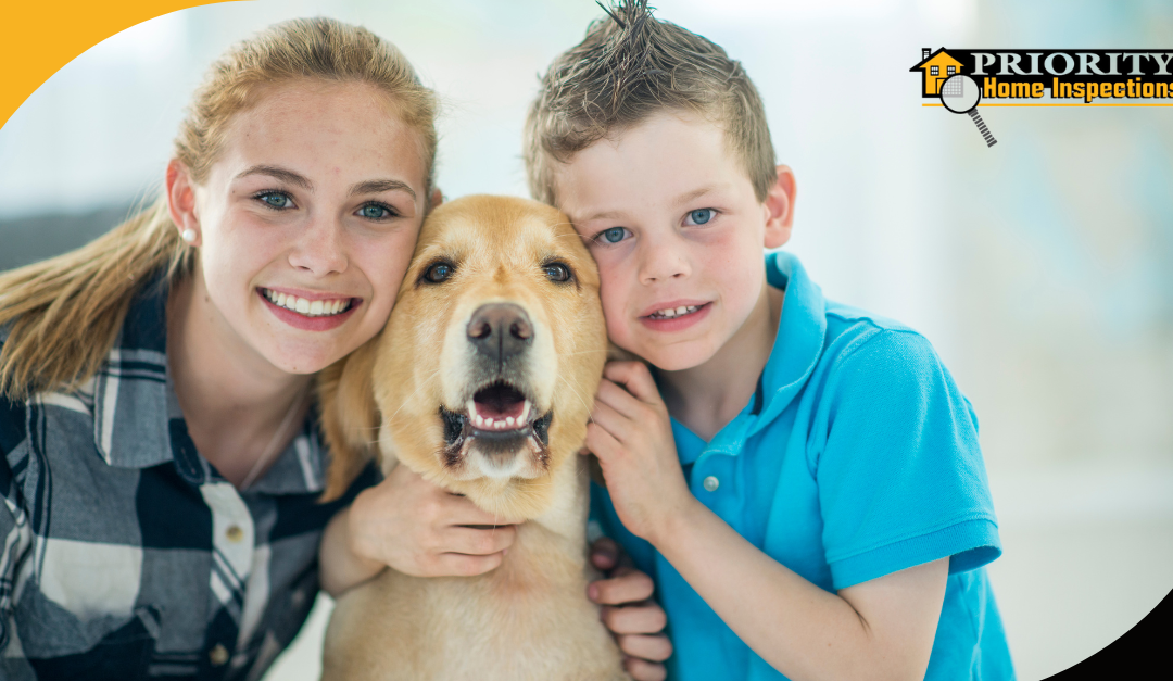 Essential Tips For Keeping Your Pets Safe This Summer