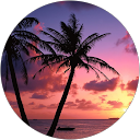 Anna Falk profile picture