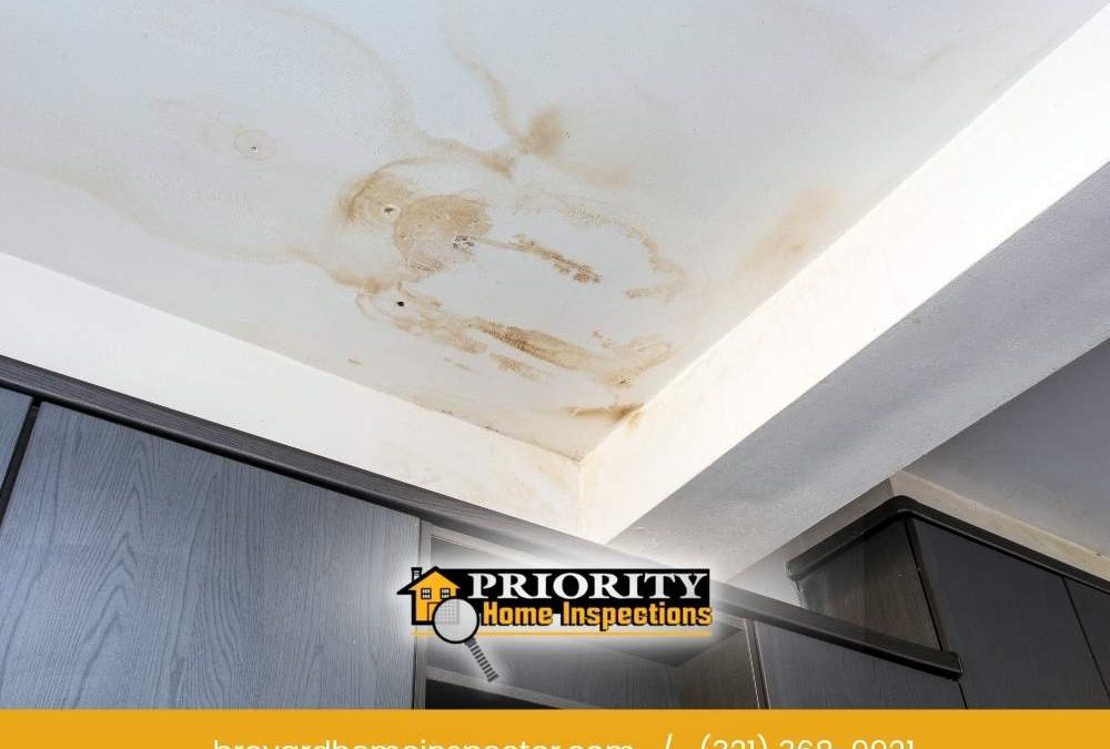 Common Spring Roofing Issues In Melbourne | Home Inspection Guide