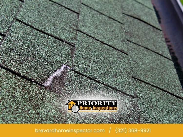 Early Spring Roof Maintenance Tips In Melbourne