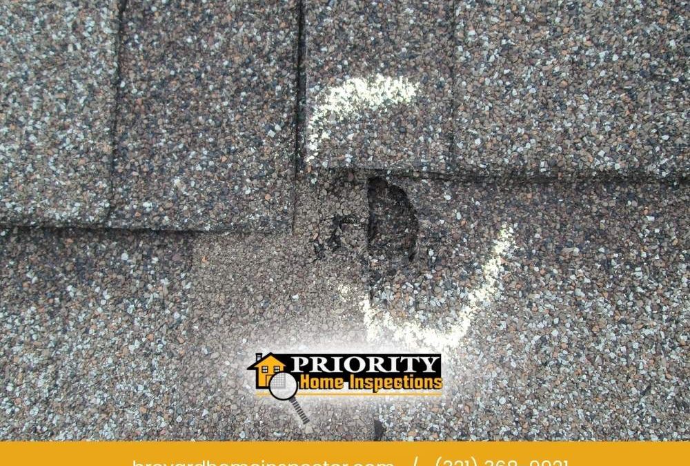 Storm Damage Roof Signs In Melbourne FL