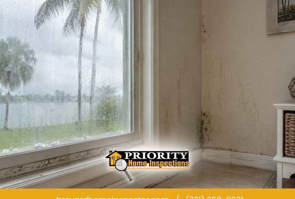 Hidden Moisture and Mold Brevard County August | Priority Home Inspections